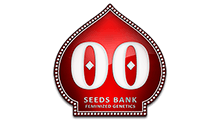 00 Seeds