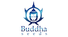 Buddha Seeds