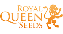 Royal Queen Seeds